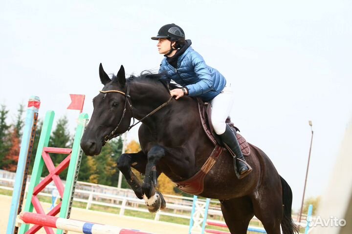 Тренер по верховой езде и конному спорту