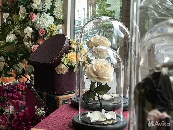 Роза в колбе Deluxe Белая