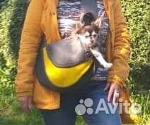 Сумка-слинг для животных