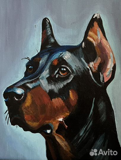 Доберман картина