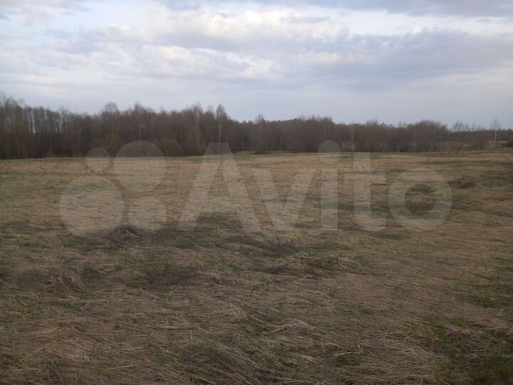 Участок 9,1 га (СНТ, ДНП)