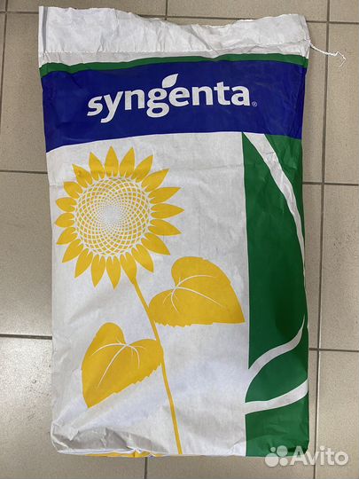 Syngenta suomi (Гибрид) семена подсолнечника