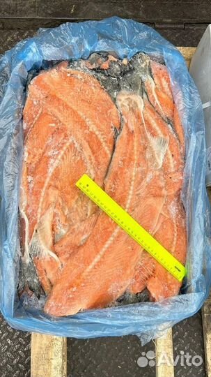 Хребты и головы лосося с/м