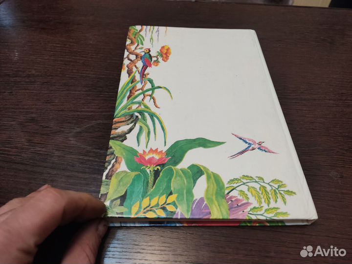 Пираты людоеды краснокожие корней чуковский