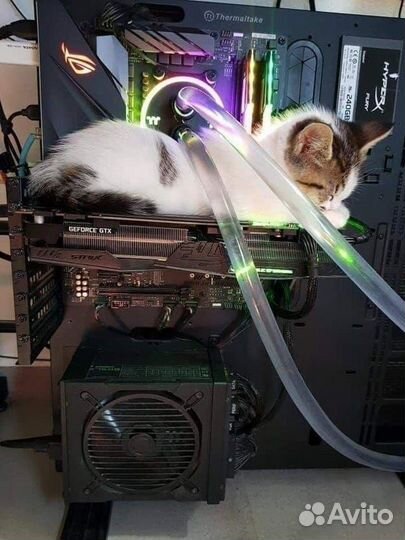 Компьютерная помощь любой сложности, выезд