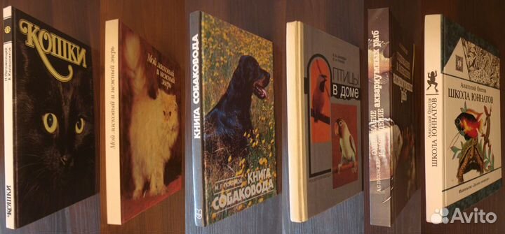 Книги: Собаки. Кошки. Птицы. Рыбки