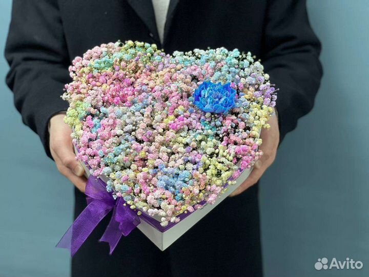 Гипсофила радужная фиолетовая голубая розовая