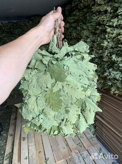 Веники для бани