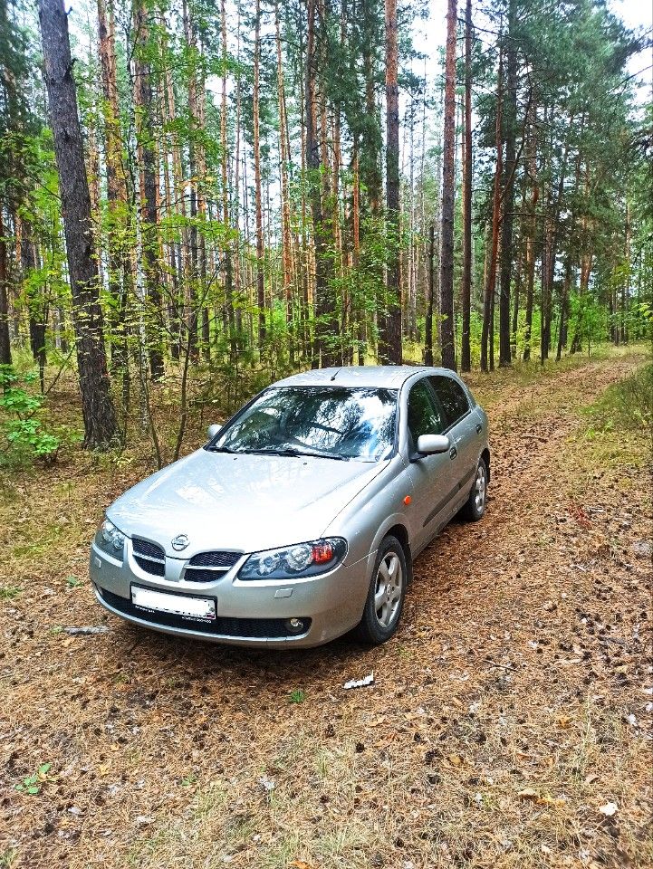 Nissan Almera: фото владельца