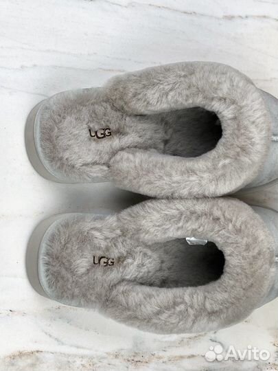 Тапочки домашние UGG Scuffette Grey Violet