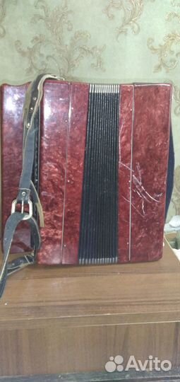 Баян Тула 202