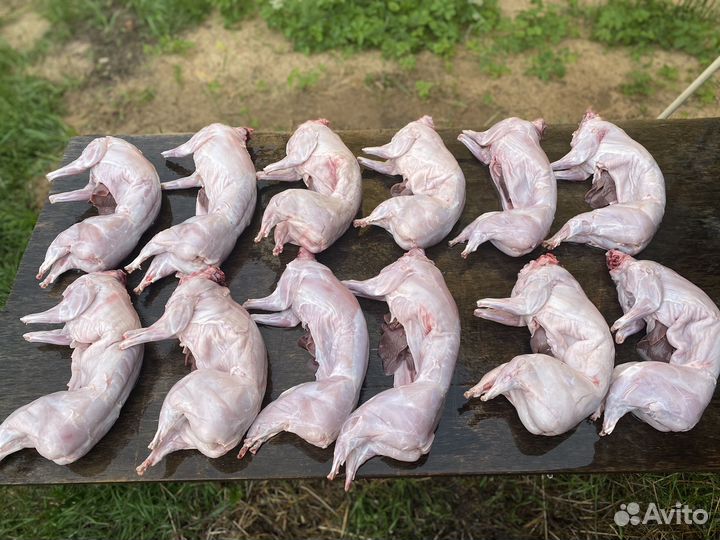 Кроликов на мясо и на разведение