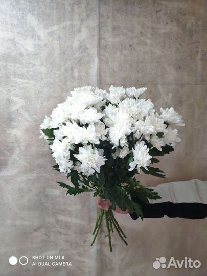 Роза хризантема гвоздика букет цветы