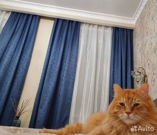 Римские шторы с автоматическим управлением