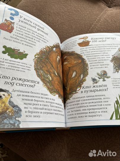 Детская энциклопедия