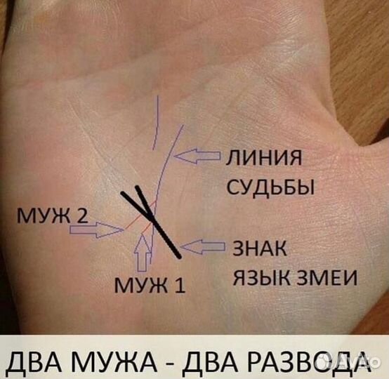 Хиромантия,обучение,нумерология