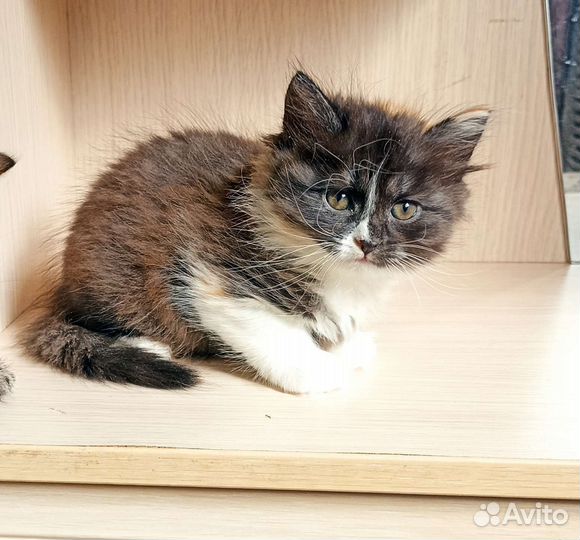 Милые бусинки