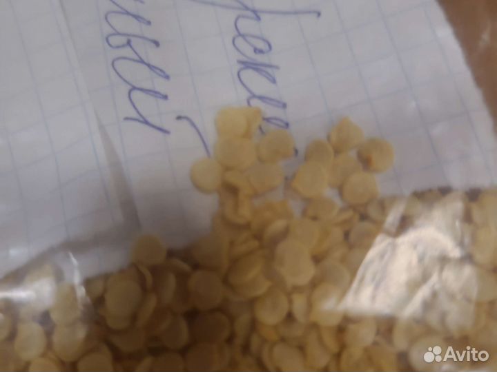 Семена домашних помидор перцев и огурцов