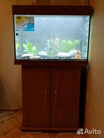 Аквариум