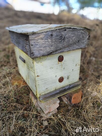 Улей для пчел домик