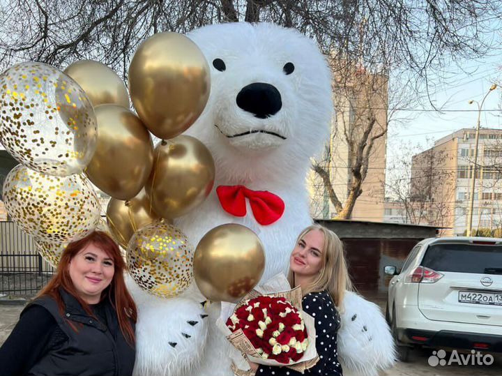 Белый медведь