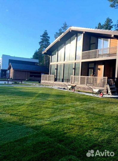 Рулонный газон