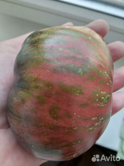 Семена томатов Сорт 