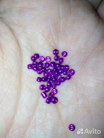 Бисер китайский