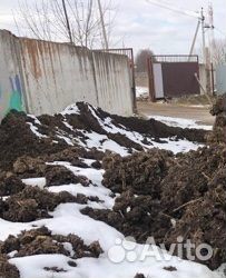 Коровий Перегной, Навоз коровий