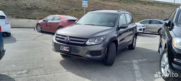 Пригоню автомобиль из Грузии и Армении