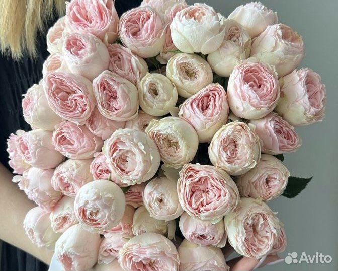 Пионовидные розы букет Розы с доставкой