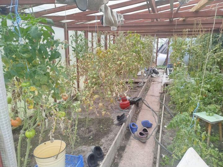 Дом 63 м² на участке 9,3 сот.