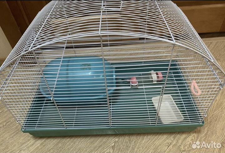 Клетки для грызунов и крыса(малыш)