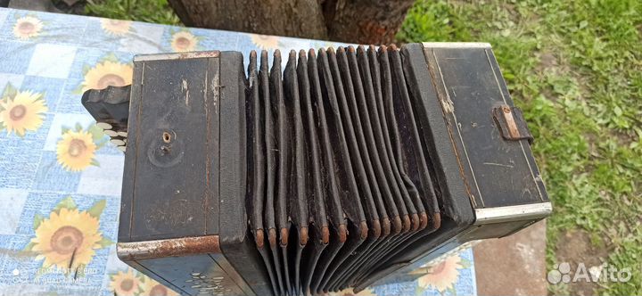 Гармонь Шуйская