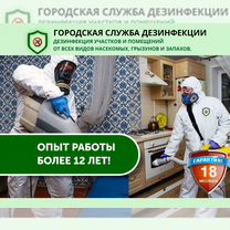 Дезинсекция, дератизация. Обработка участков