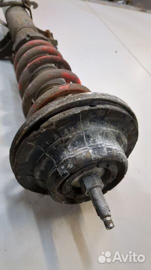 Амортизатор подвески Volkswagen Transporter 5, 2004