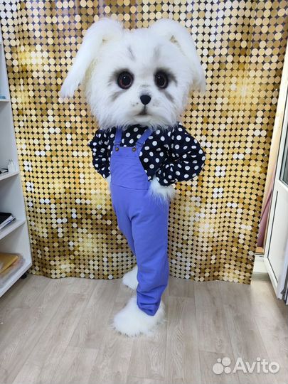 Собачка, ростовая кукла