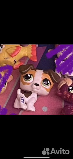 Лпс собачка на доставку