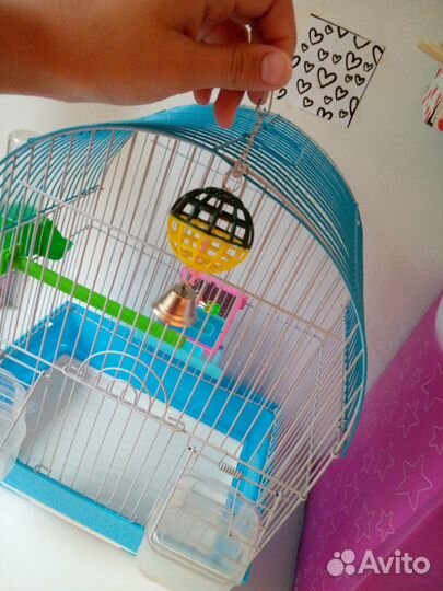 Клетка для попугая