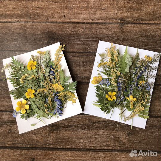 Сухоцветы для творчества