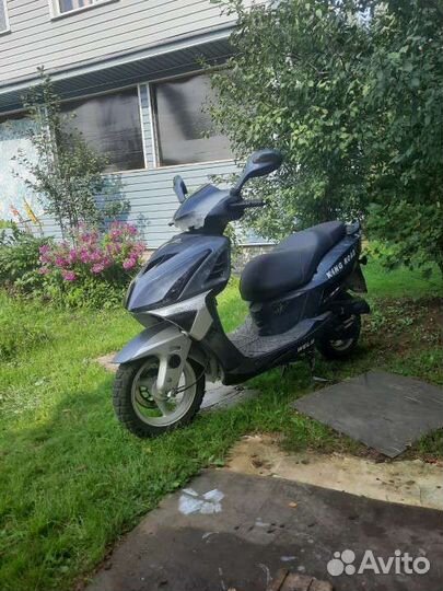 Wels bison 50(80)cc
