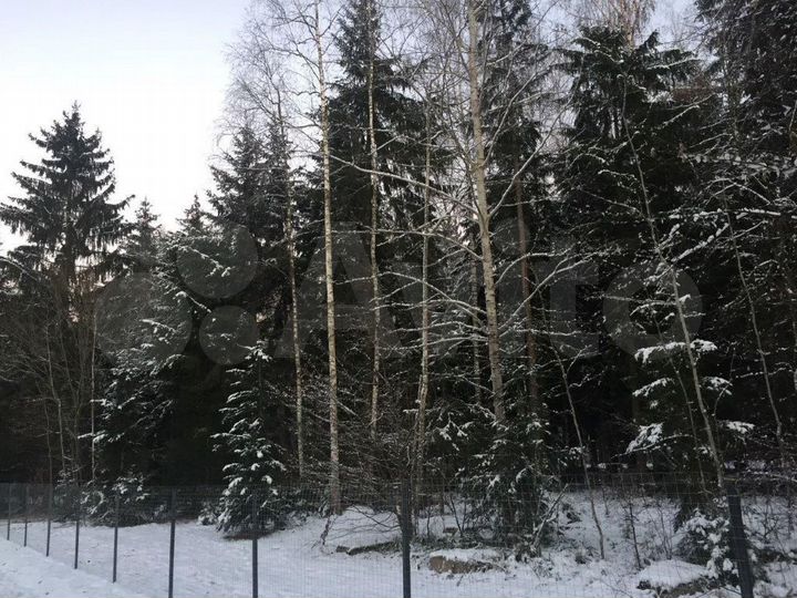 Участок 24 сот. (СНТ, ДНП)