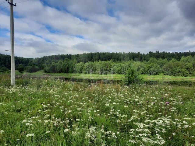 Участок 24,4 сот. (ИЖС)