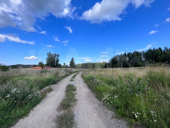 Участок 2,44 га (ИЖС)