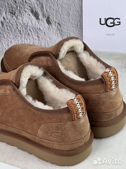 Угги Ugg Mens Slippers Flex Chestnut