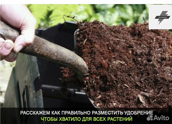 Навоз коровяк