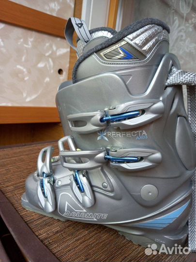 Горные лыжи