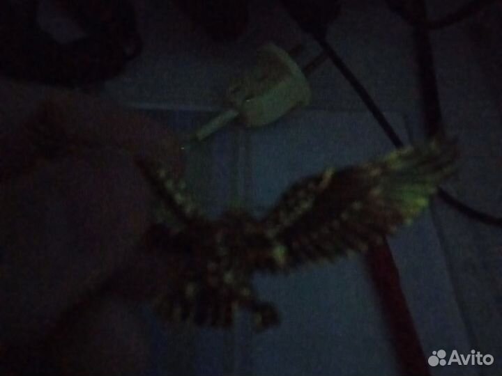 Брошки СССР