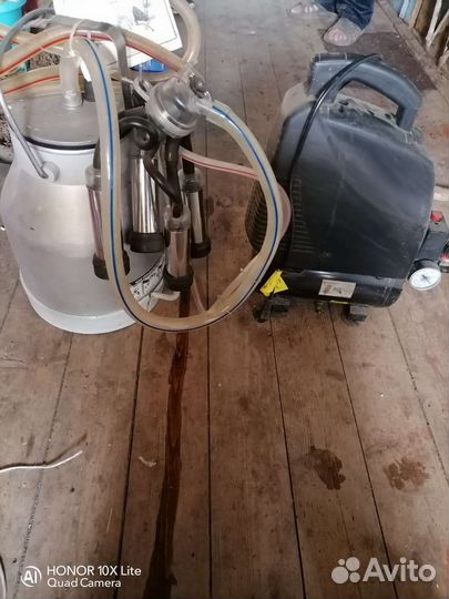 Доильный аппарат для коров