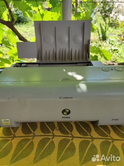 Принтер canon pixma ip1000